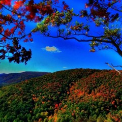 Doomshop Meets a Guy With a Flute