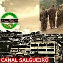 MEDLEY CRIMINOSO DA TROPA DO G8( COMPLEXO DO SALGUEIRO)