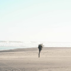 The Rain - Upaya maksimal (cover)