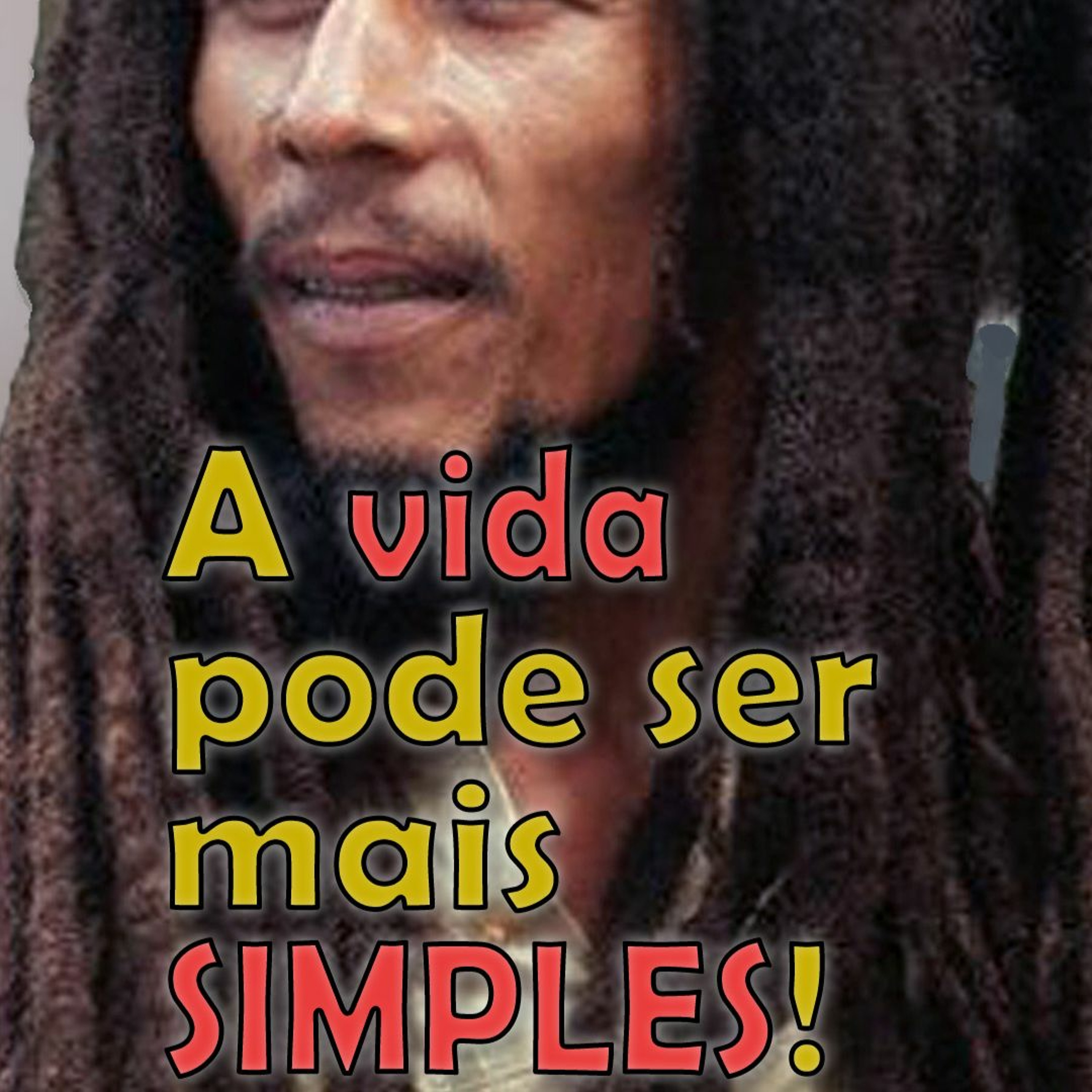 O Macaco Elétrico