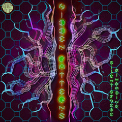 Rinkadink & Silent Sphere - Hidden Patterns (Original mix)- Out December 9th!