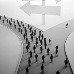 DSD - 191! Плывущие против течения