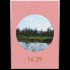 WHATFALSE - 16 29