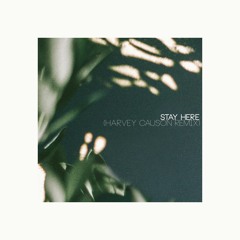 Stay Here (Harvey Causon Remix)