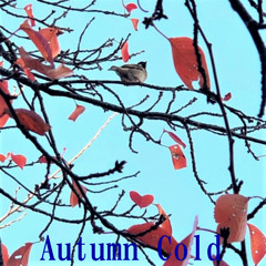 Autumn Cold
