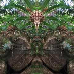 life situation expression