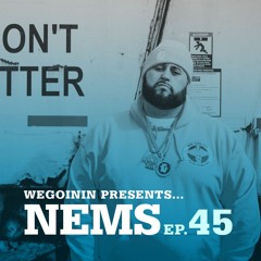 Episode 45 - The NEMS Interview Part 2