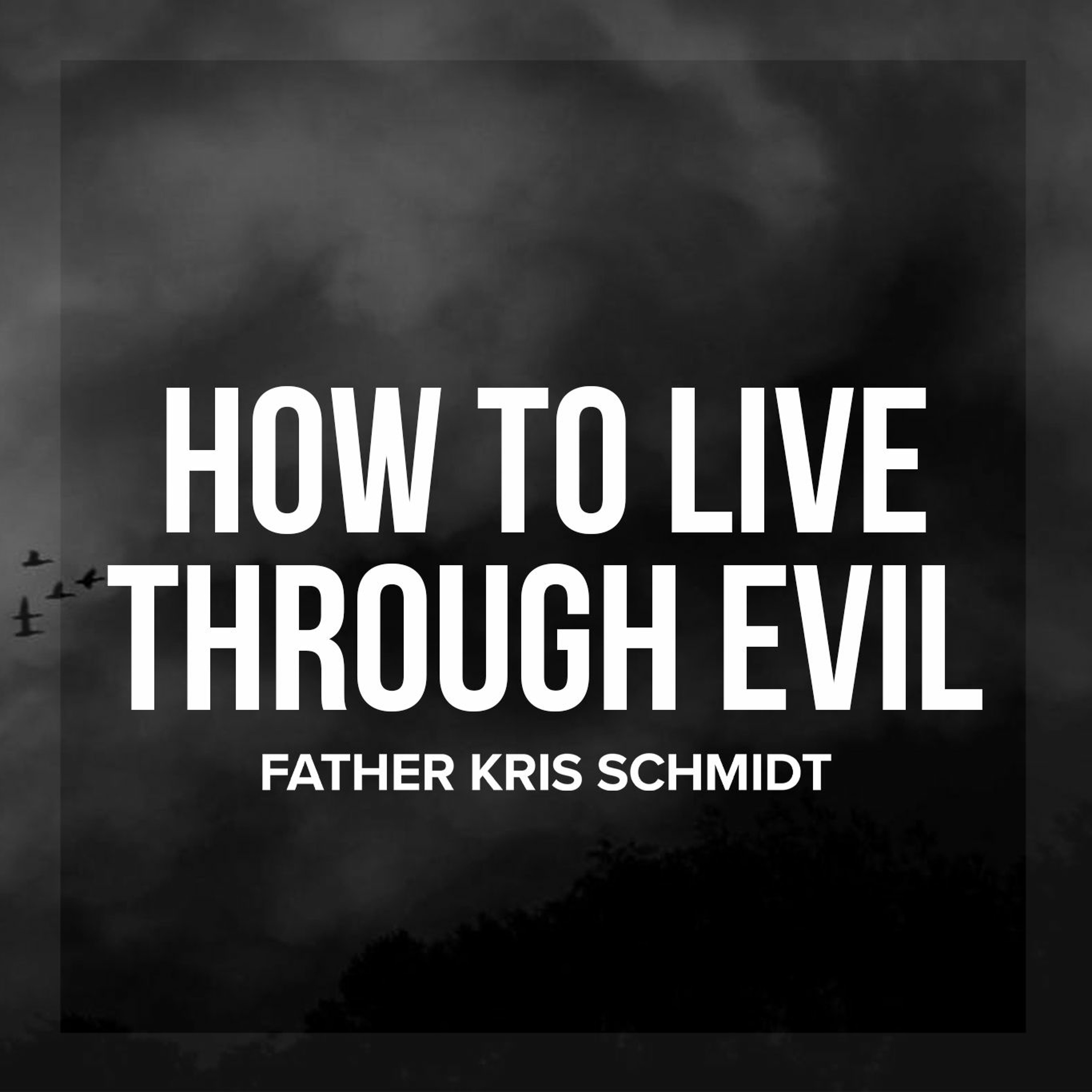 Fr. Kris Schmidt Homilies