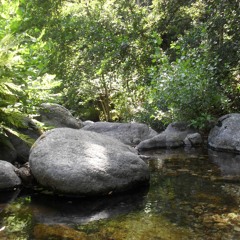 Ballade Fluviale