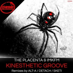 The Placenta & IMKFM - Kinesthetic Groove (Sketi Rmx)