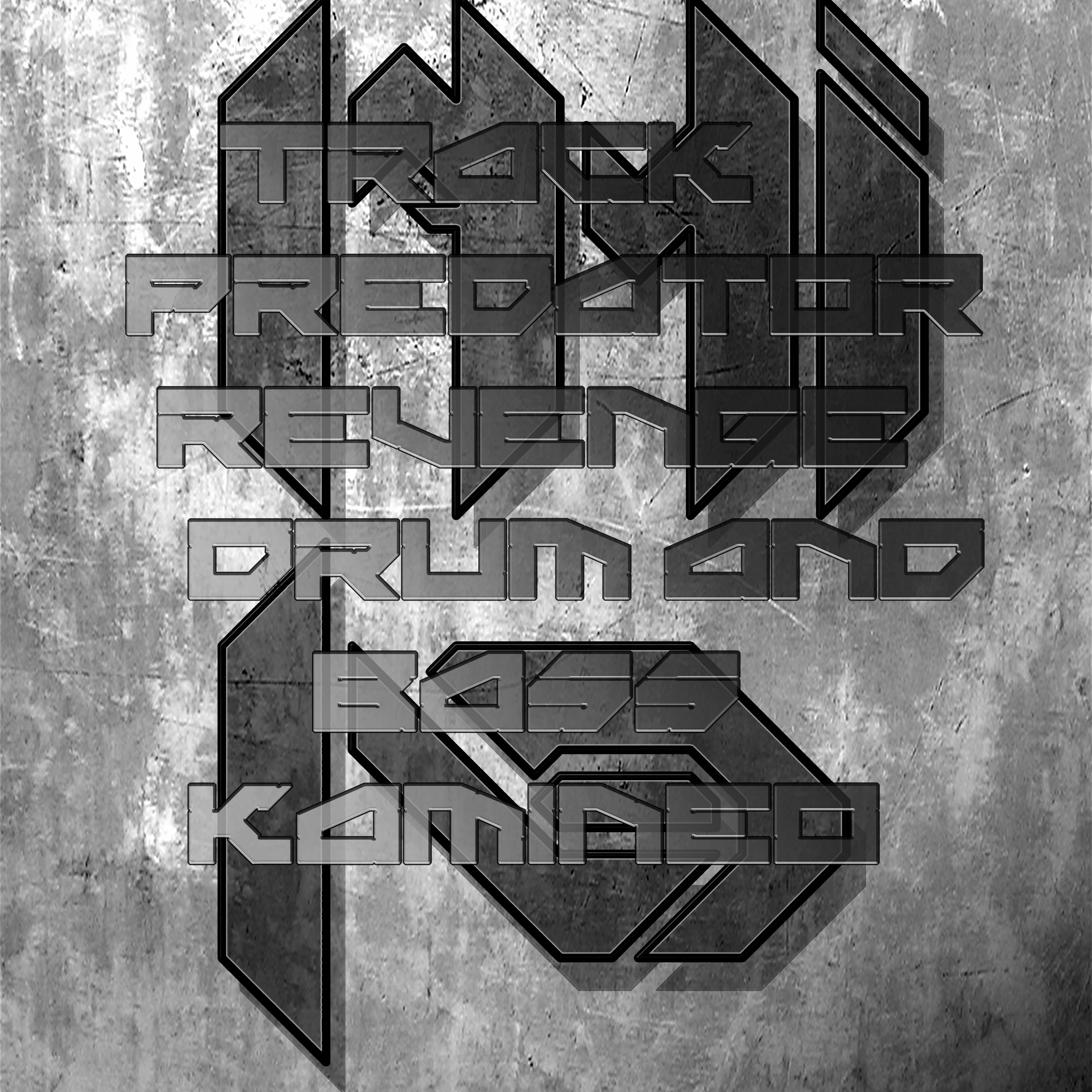 kamineo Dnb