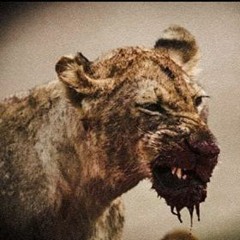 Leaina(lioness)