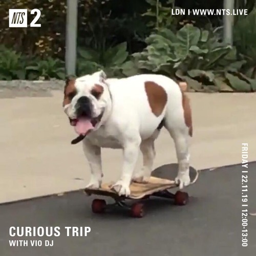 Curious Trip (NTS 22/11/19)