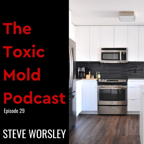 EP 29: The Best Way to Have a Mold Resistant Home Part 1