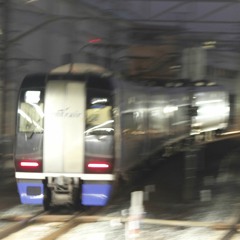 ALICE JINGUMAE(クソゴミ)