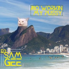 B.Maxx, S.Kass, R.Roussenouff, S.P.Pauline, Offer - Rio Workin My Pussy (Sam Gee Mashup)