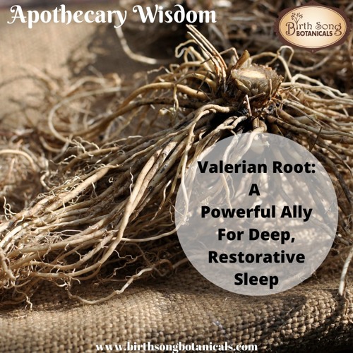 Stream episode Valerian Root A Powerful Ally For Deep Restorative