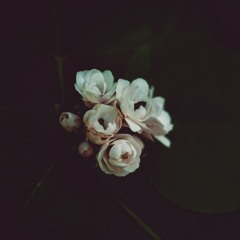 Soul