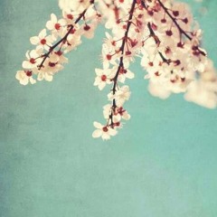 Bahar - بهار