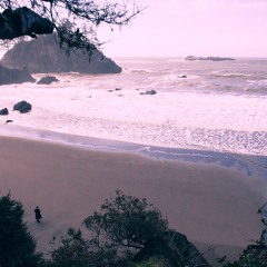 Horses In My Dreams (PJ Harvey Cover)