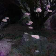 You Are Not Her Ghost. Dusboblaze / numbers in the dream
