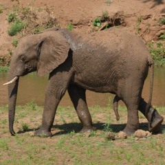 Erectile Disfunction (ft. lil SAT)