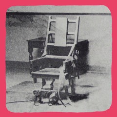 La chaise électrique : une concurrence mortelle