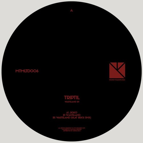 Premiere: A2 - Triptil - Wasteland [MTMLTD006]
