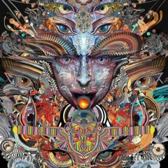 H o r m o n a u t i k a