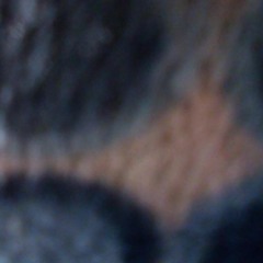 WIELOŚĆ - wielość