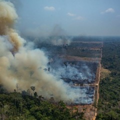 🌼🔥iirsa progreso y evangelio🔥🌸 (reedita)