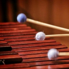 Vincenzo (Percussion, Clarinet & 4-handed piano)
