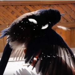 We are all one being - Changa Breakthrough report