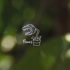 Flaws 64