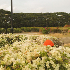 June (feat. Fahmy, the Mc & ABANGSAPAU)