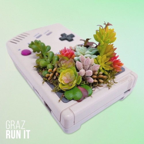 Graz - Run It