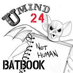 UMind Ep.24 BatBook