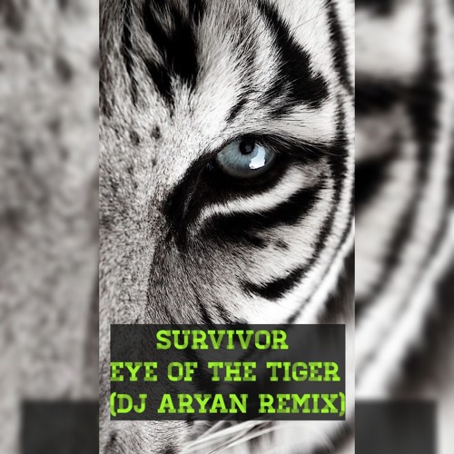 Stream Survivor - Eye Of The Tiger (DJ ARYAN)(1).mp3 by DJ ARYAN | Listen  online for free on SoundCloud