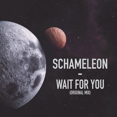 Schameleon - Wait For You (Original Mix)***FREE DOWNLOAD***