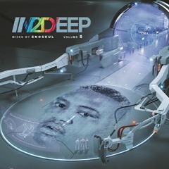 In2Deep Vol 5 Mixed By Enosoul Preview