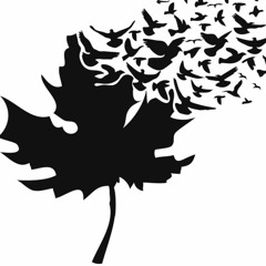 Kissed My Daughter Goodbye