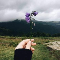 المسافر !! - د.بهاء سكران