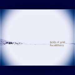 Fields Of Gold / ruca&Harry