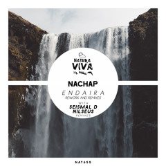 Nachap - Endaira (Seismal D Remix)