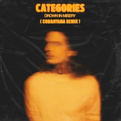 Categories - Drown In Misery ft. Reo Cragun(Cobrayama Remix)