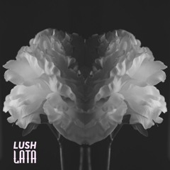 Tanha Tanha X Back It UP ( Lush Lata Remix)
