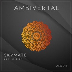 Skymate - Levitate (Original Mix) / Preview