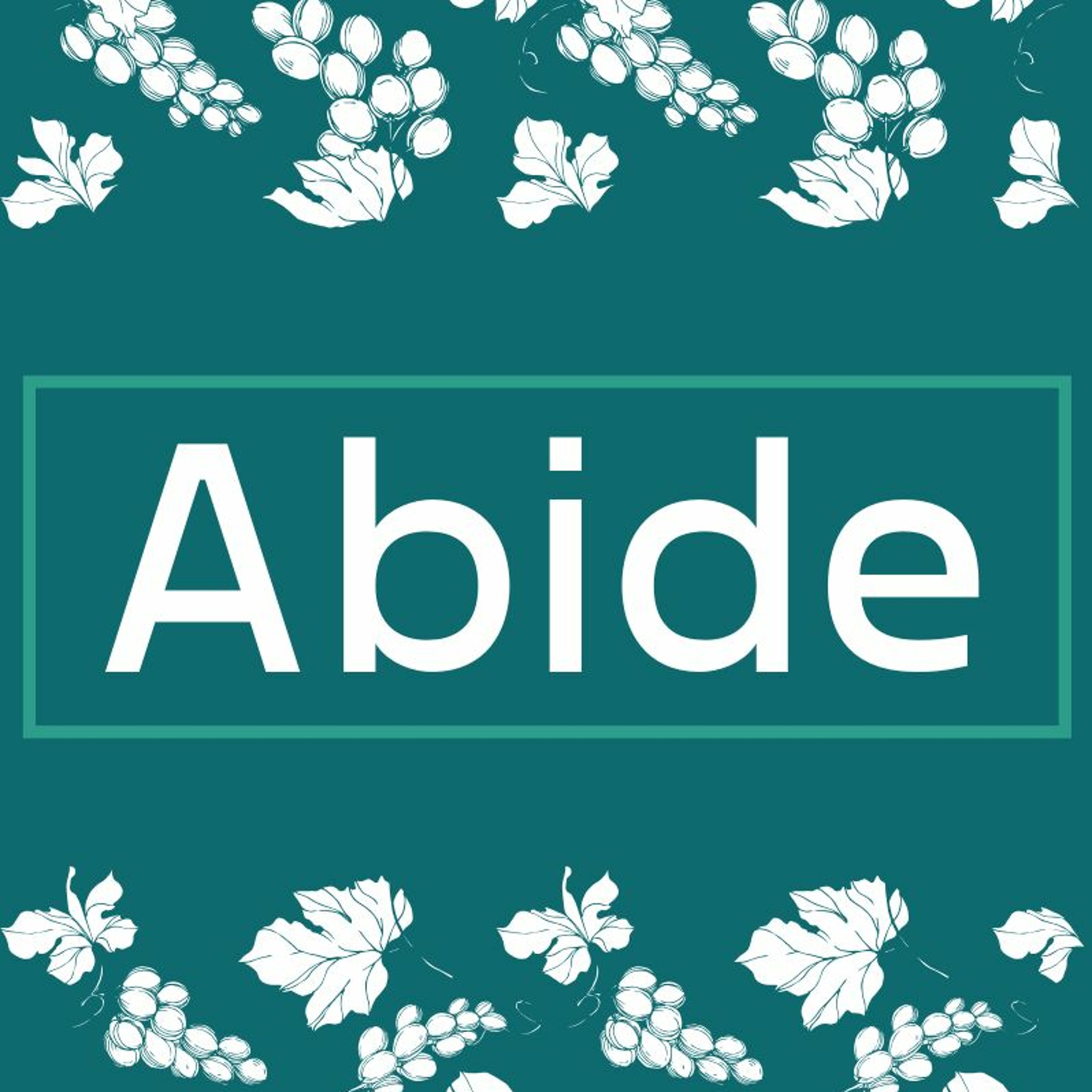 Abide - The Vine and the Vinedresser (Sam Morris) 24th November 2019 episode artwork
