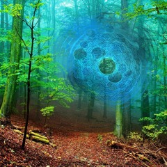 Projeção florestal