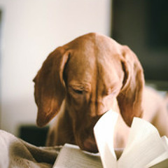 pages